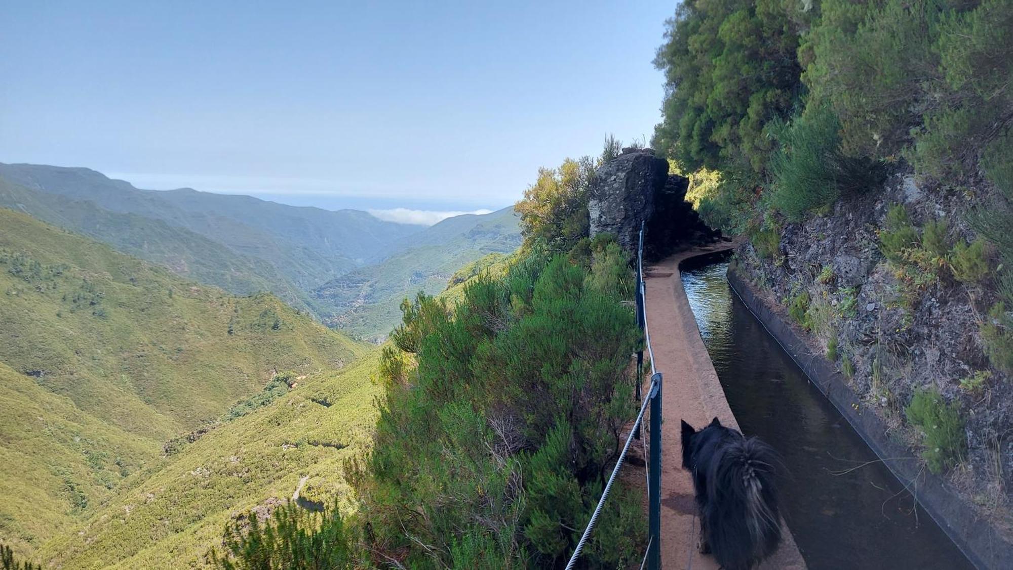 Espirito Do Mar - Premium Villa With Jacuzzi Estreito Da Calheta エクステリア 写真